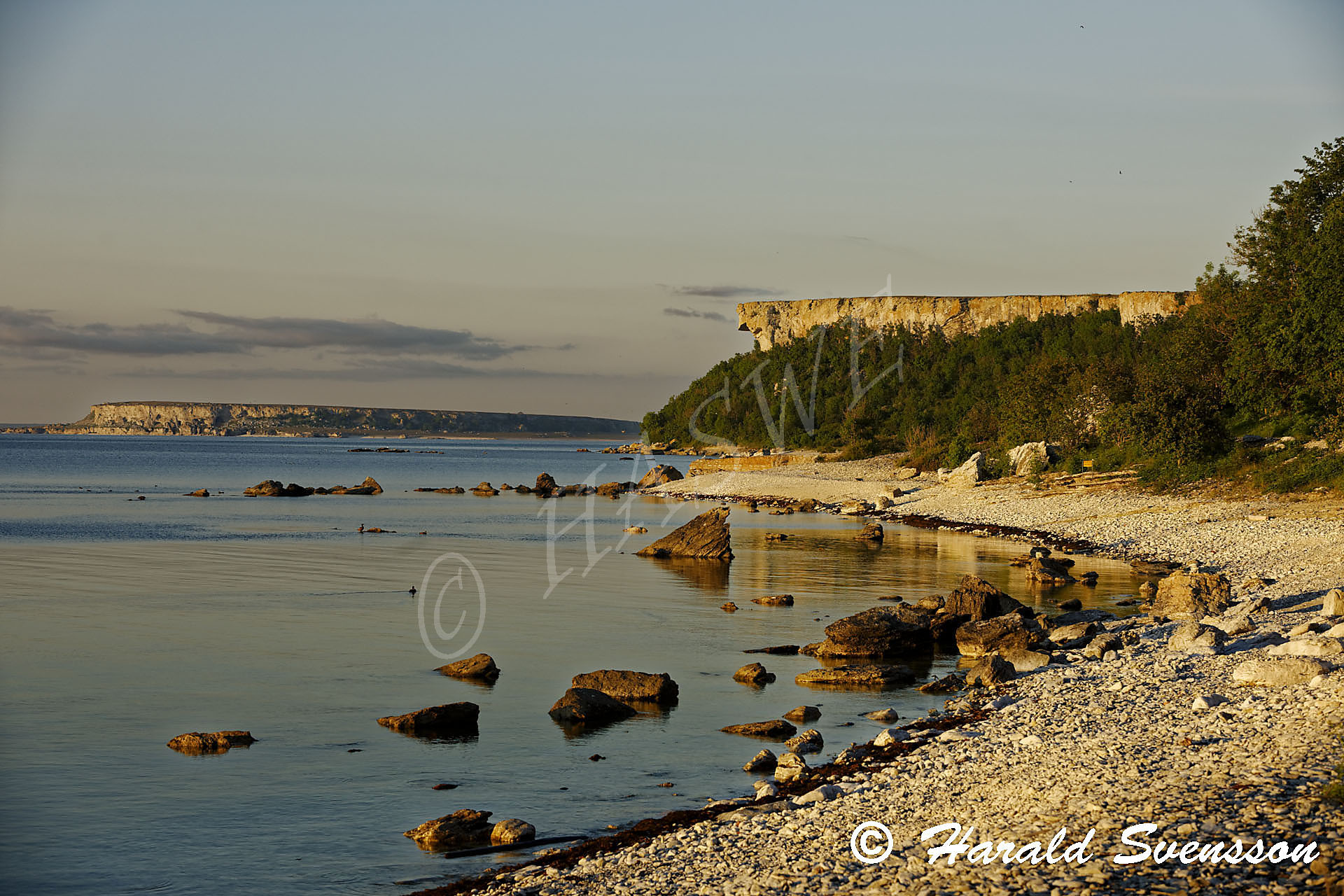 Harald Svensson HASWE Scenic Picture
