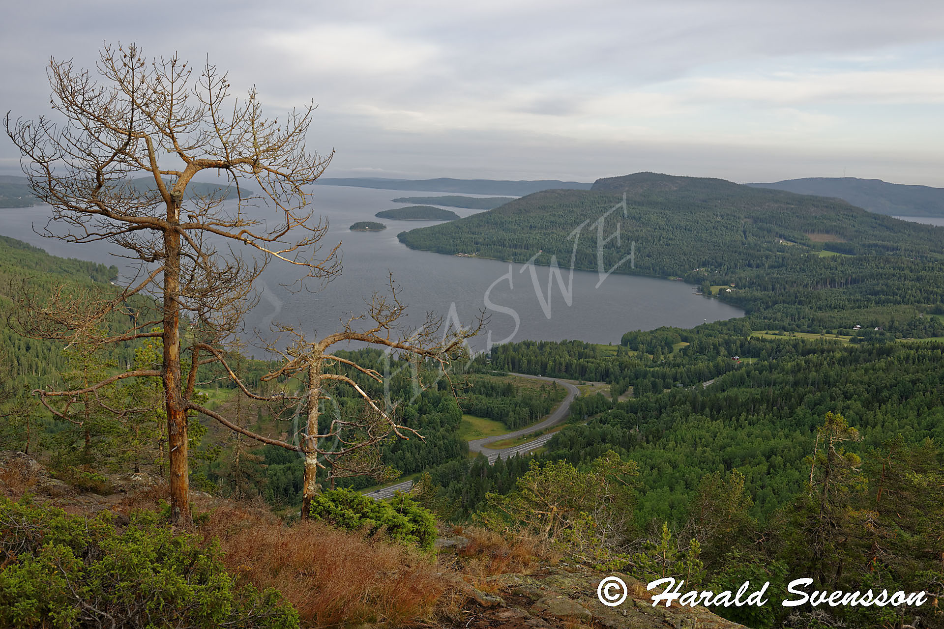 Harald Svensson HASWE Scenic Picture