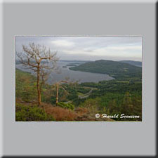 Harald Svensson HASWE Scenic Picture