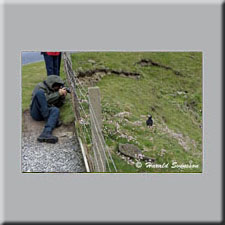 Harald Svensson HASWE Scenic Picture