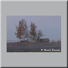 Harald Svensson HASWE Scenic Picture